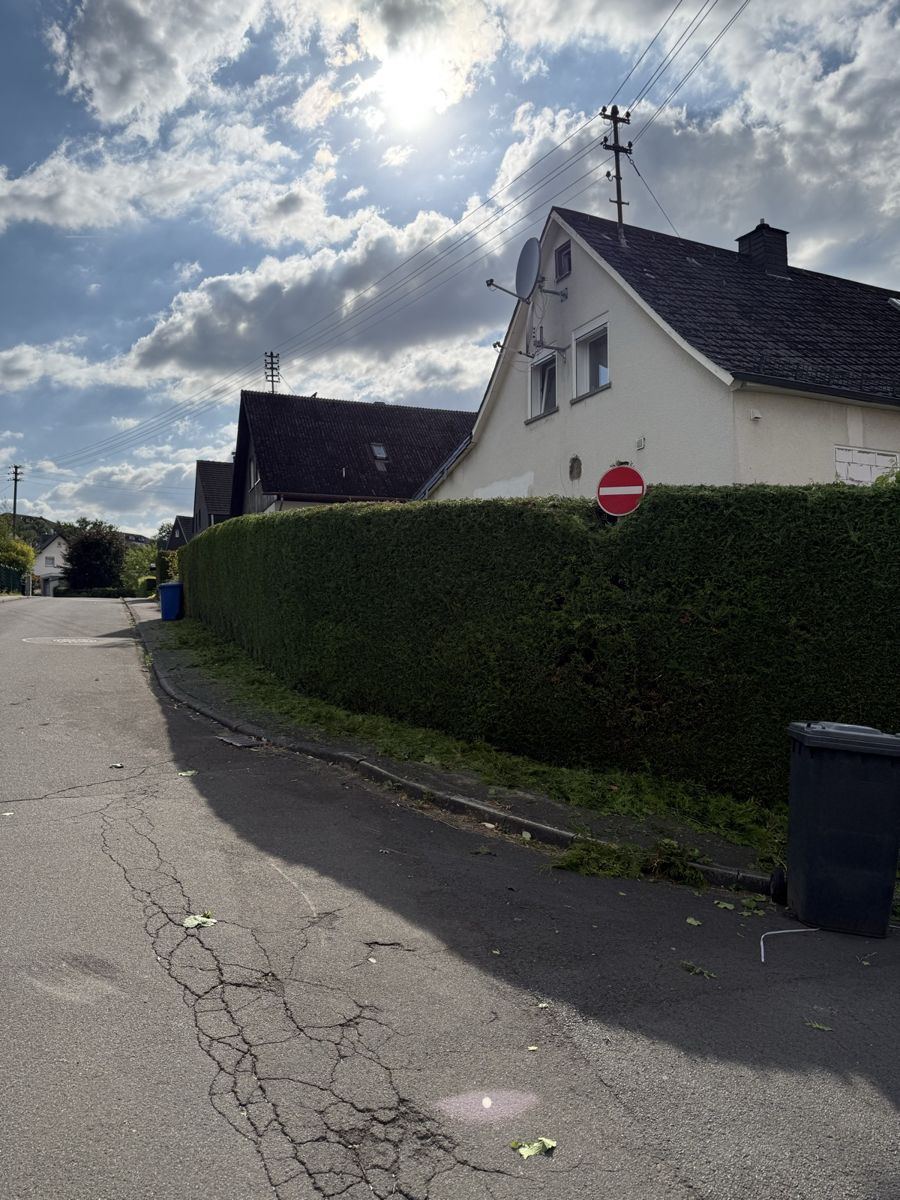 Nachher: Thujahecke gerade geschnitten, Gehweg wieder frei
