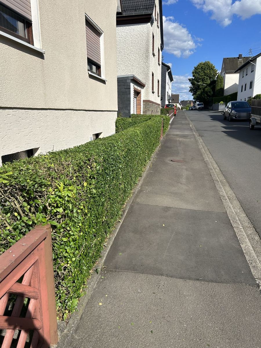 Nachher: Hecke gerade und schmal geschnitten