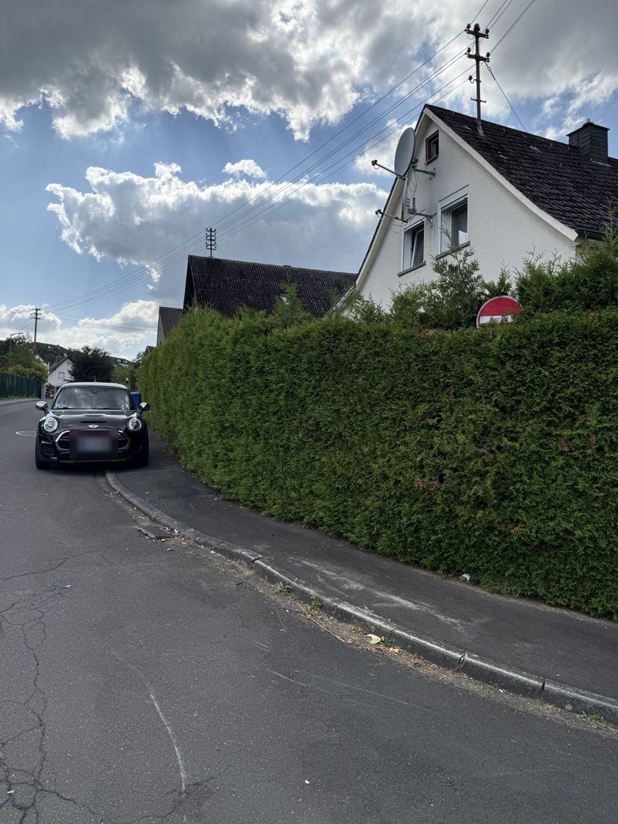 Vorher: zugewachsene Thujahecke ragt über den Gehweg