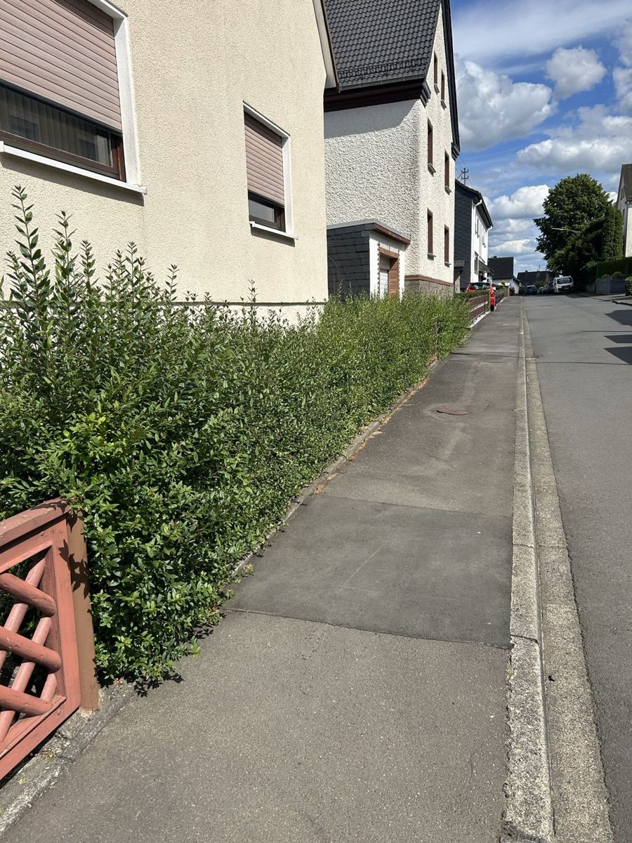 Vorher: ausgewachsene Hecke ragt über den Gehweg